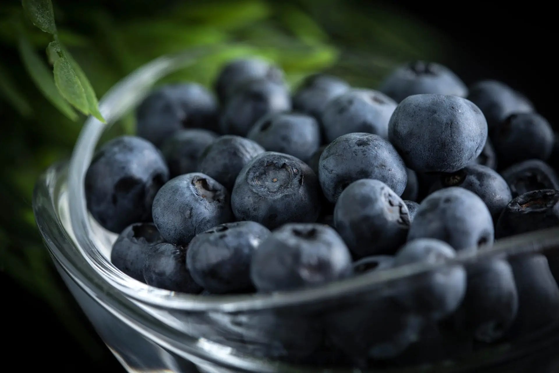 Wie Antioxidantien gegen freie Radikale wirken und Ihren Körper schützen