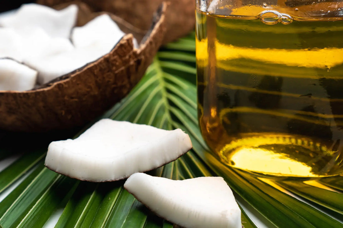 Schwarzkümmelöl vs. Kokosöl: Zwei Naturöle im Vergleich
