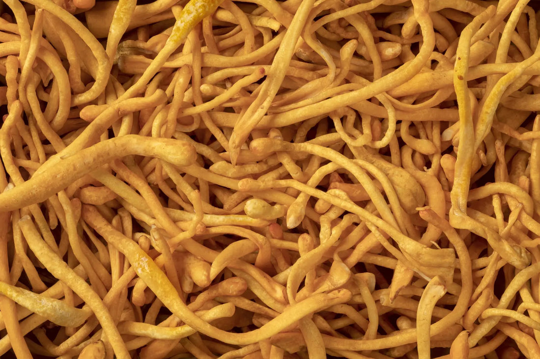 Cordyceps-Pilz: Geschichte, Inhaltsstoffe und Anwendung im Alltag