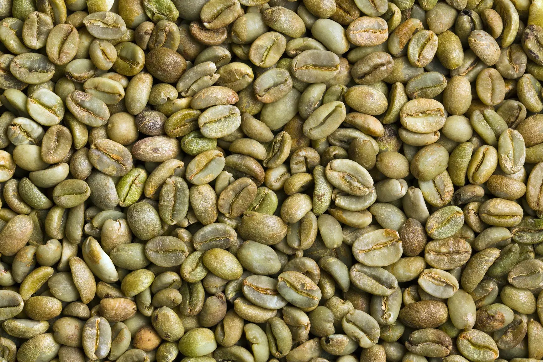 Auf einem grünen Zweig: Grüner Kaffee beim Abnehmen